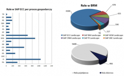 SAP GRC BRM Roles